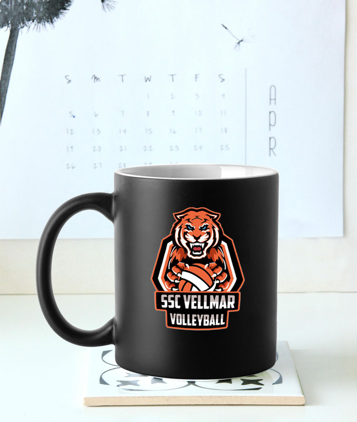 Logo für das Volleyball-Team Herren des SSC Vellmar